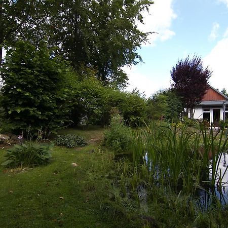 Ferienhaus Wildblick Шлайден Екстериор снимка