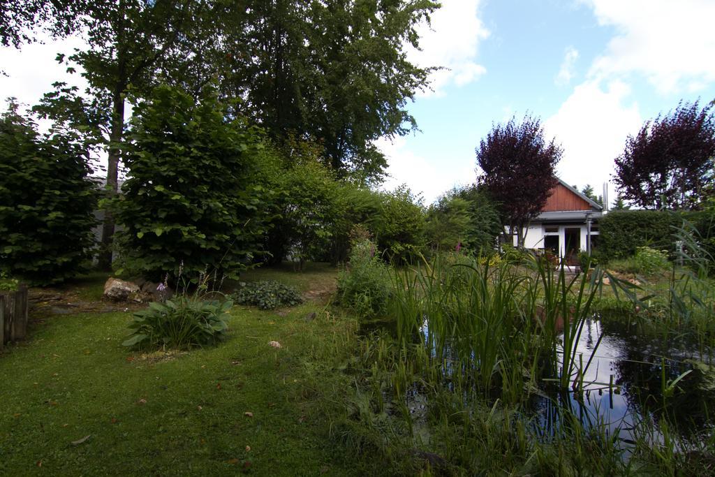 Ferienhaus Wildblick Шлайден Екстериор снимка